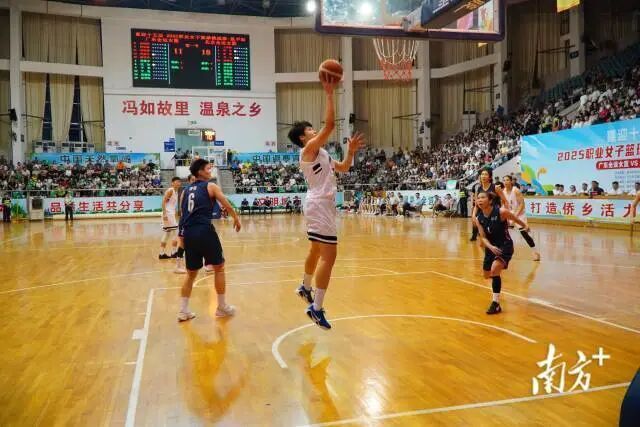 了坚实保障 了坚实保障