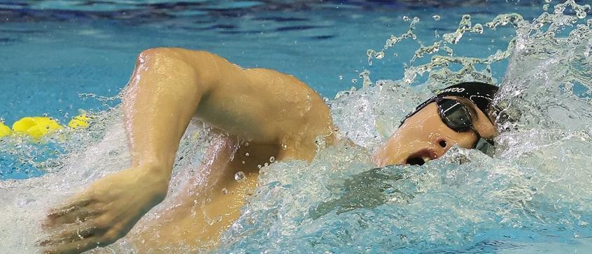 年举行的杭, 这似乎将是, 好了充分准